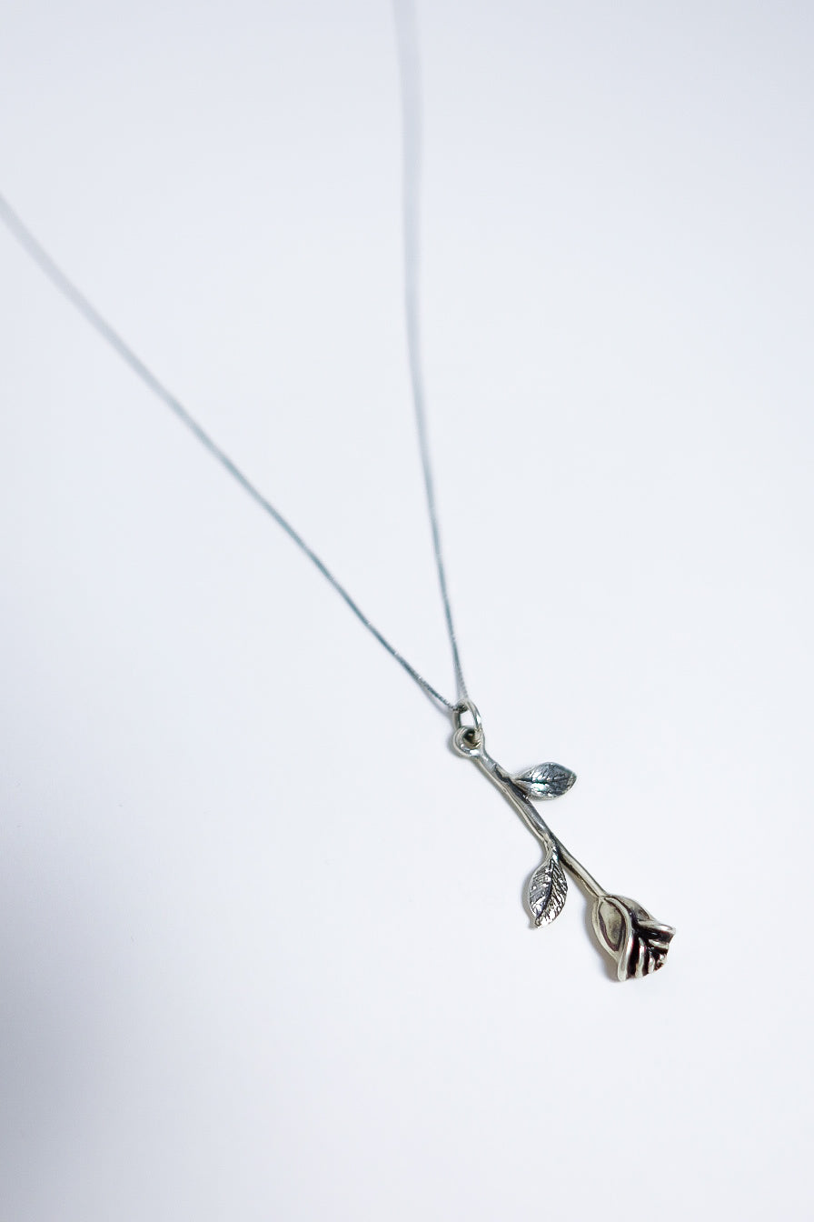 A_COLLECTION ROSE IN 925 STERLING SILVER