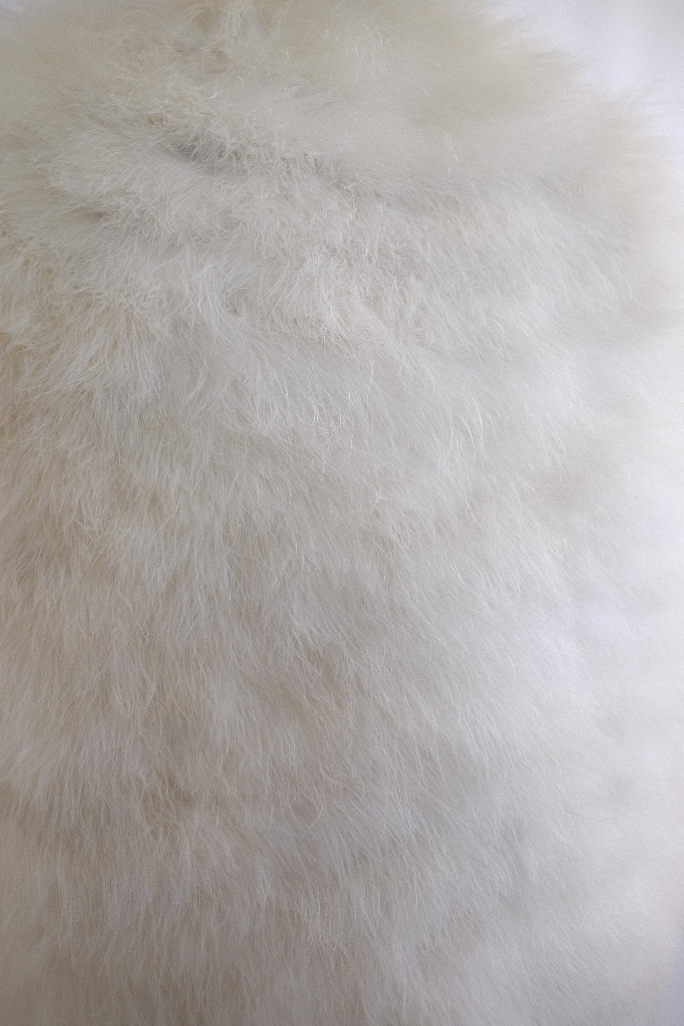 VINTAGE FEATHER CAPELET IN PANNA