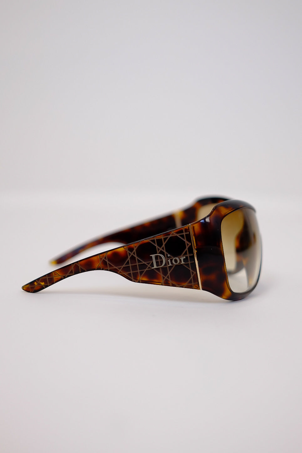 DIOR BY GALLIANO WRAP SHADES