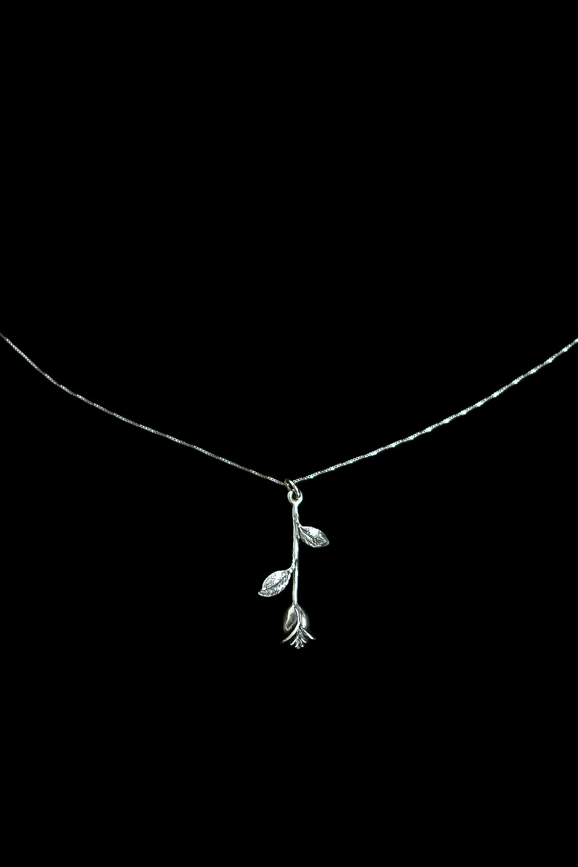 A_COLLECTION ROSE IN 925 STERLING SILVER